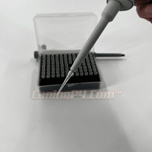 0.5-10 ul Pipettor Tips-1 Rack (96 tip ct) - Image 2