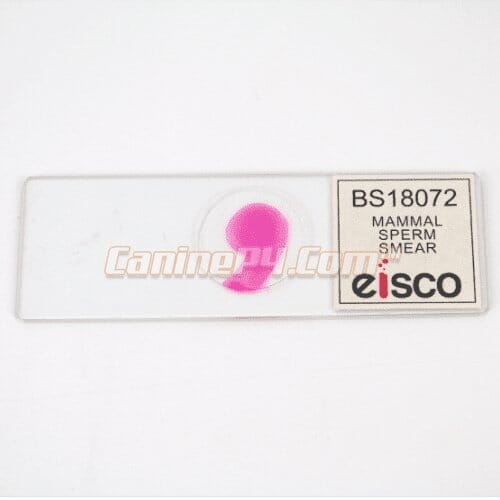 Vet Grade Canine Semen Analysis Microscope Kit 2500X - Image 11