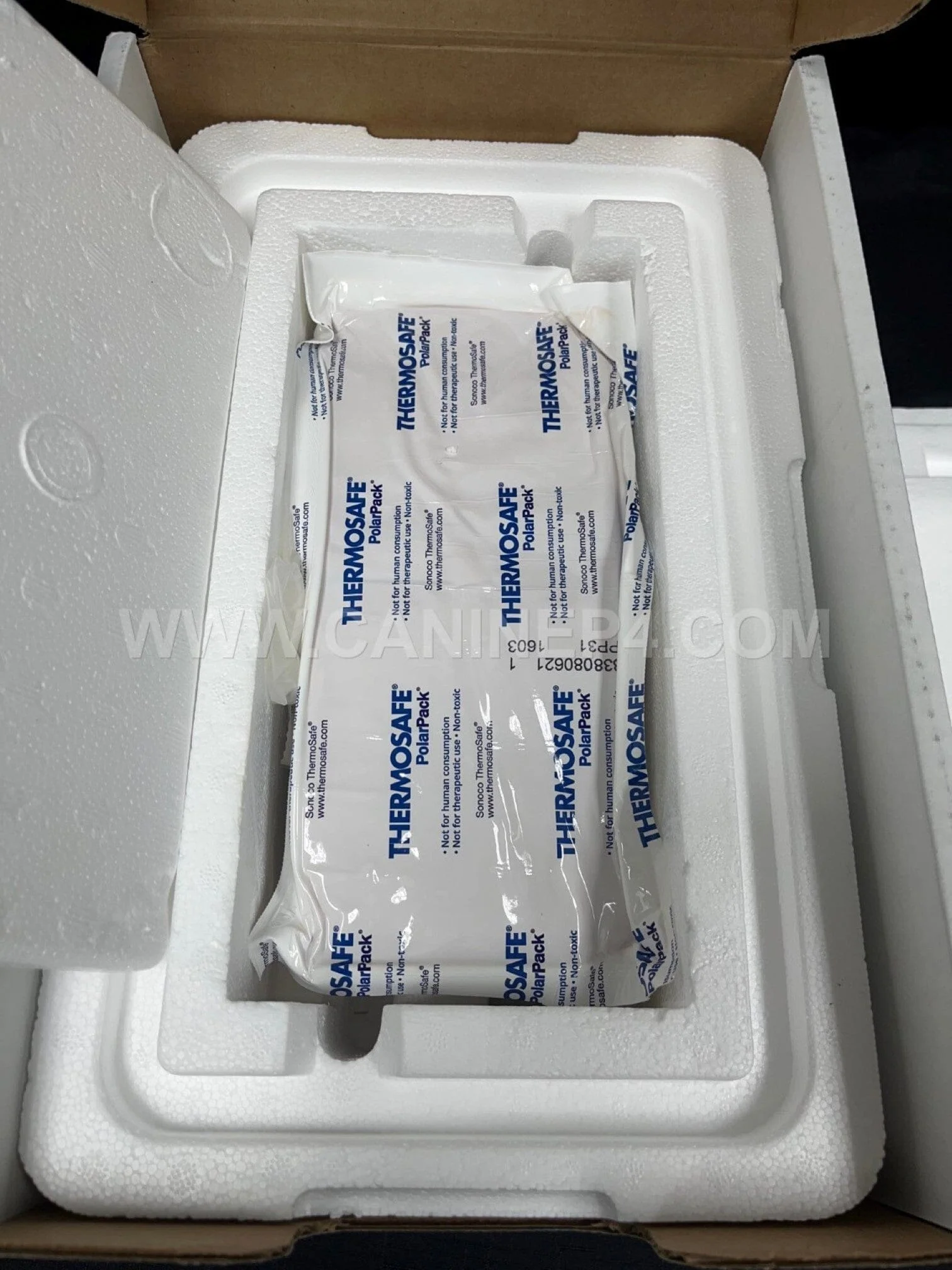 Canine Express Sperm Insulated Transport Shipper - Image 4