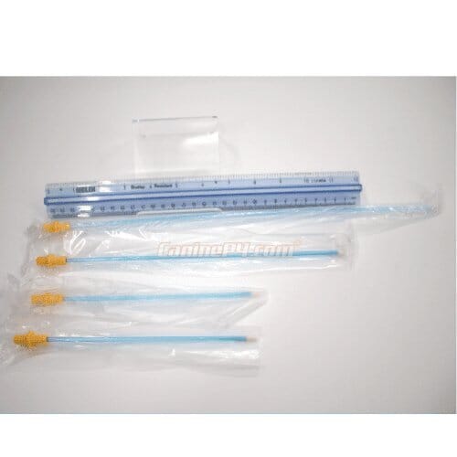 Dog Disposable Artificial Insemination Catheter