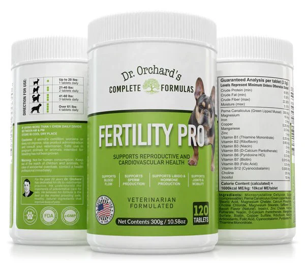 Dog Pregnancy Test and Detection