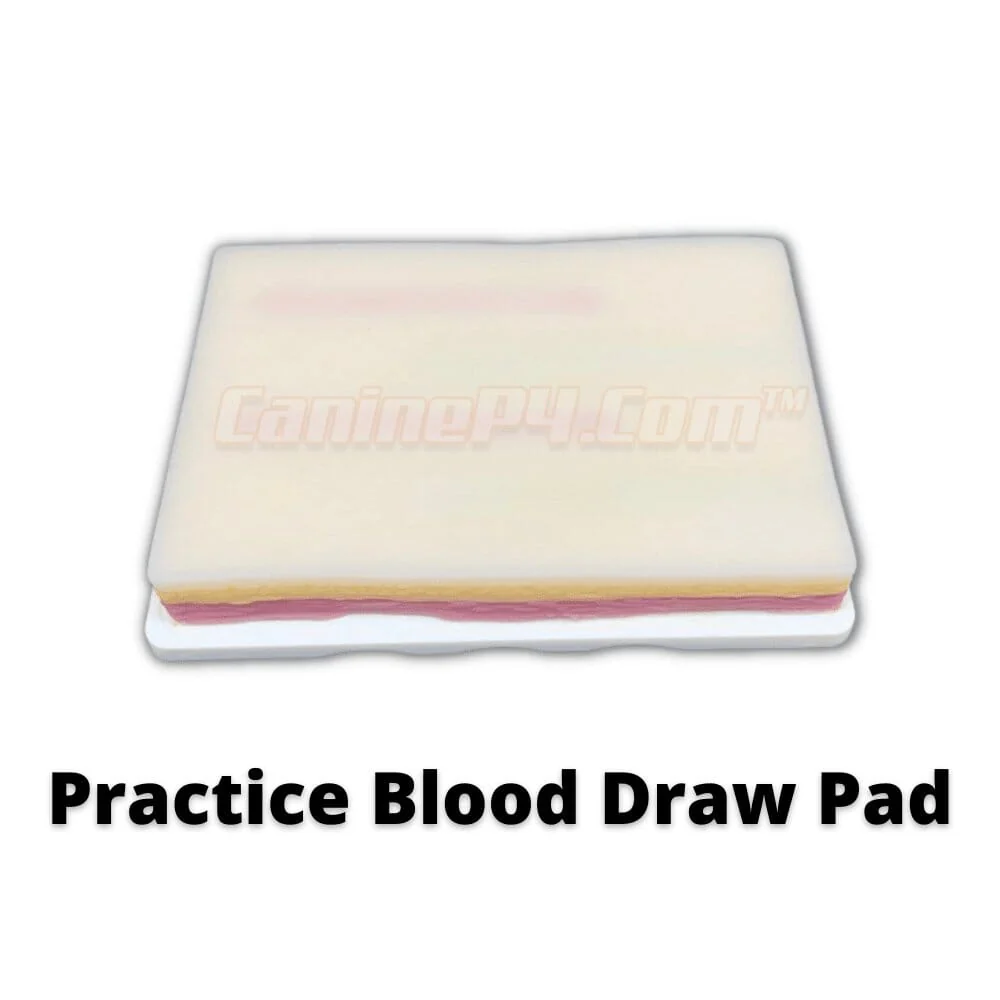 Phlebotomy and Venipuncture Practice Kit