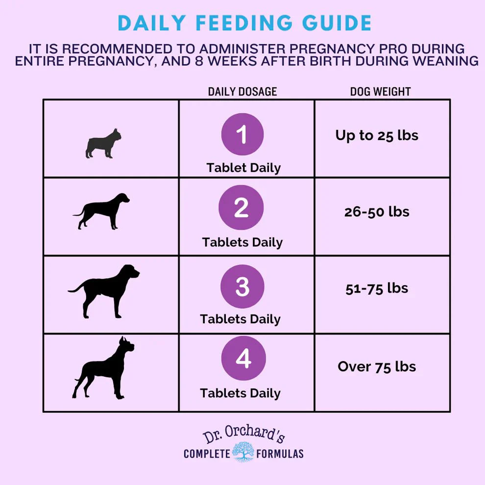 Pregnancy Pro Prenatal Vitamin For Dogs (90 ct) - Image 3