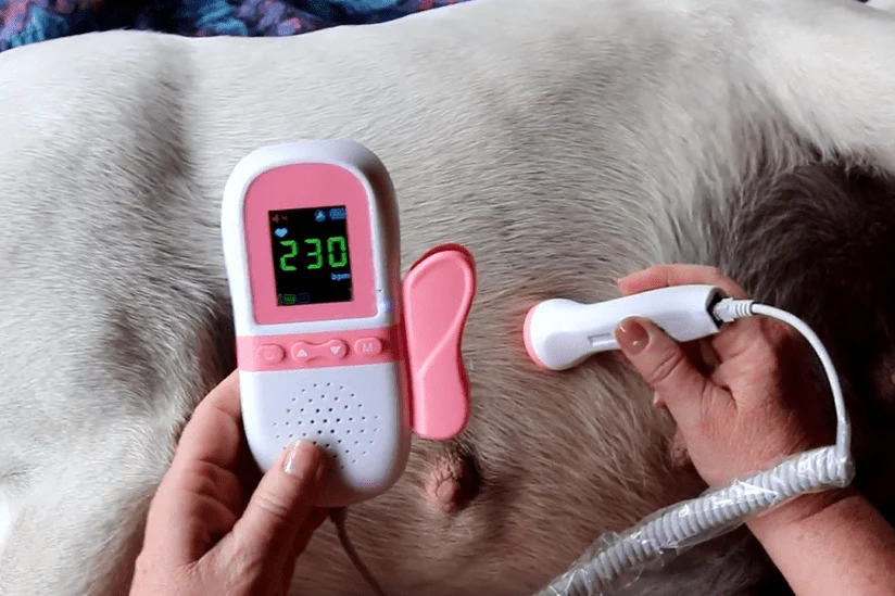 Puppy Heart Rate Monitor - Image 3